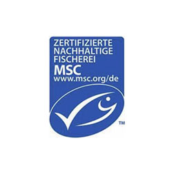 Logo_MSC